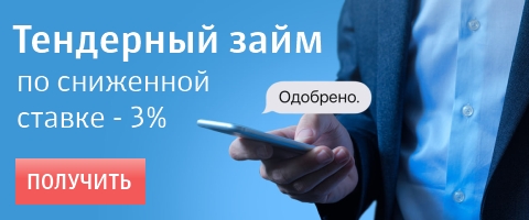Сбербанк тендерный займ физ лицо дает займ ип наличными